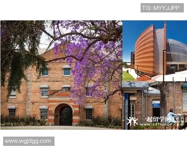 西悉尼与墨尔本城的精彩对决分析与赛后评论分享